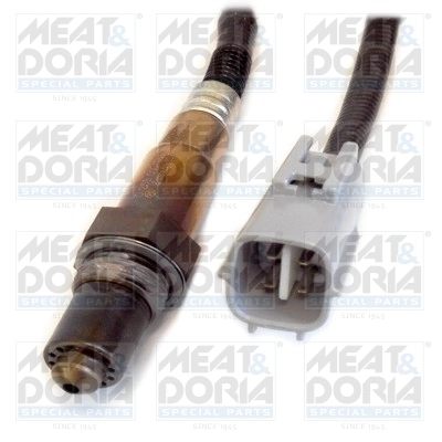 Oxygen Sensor